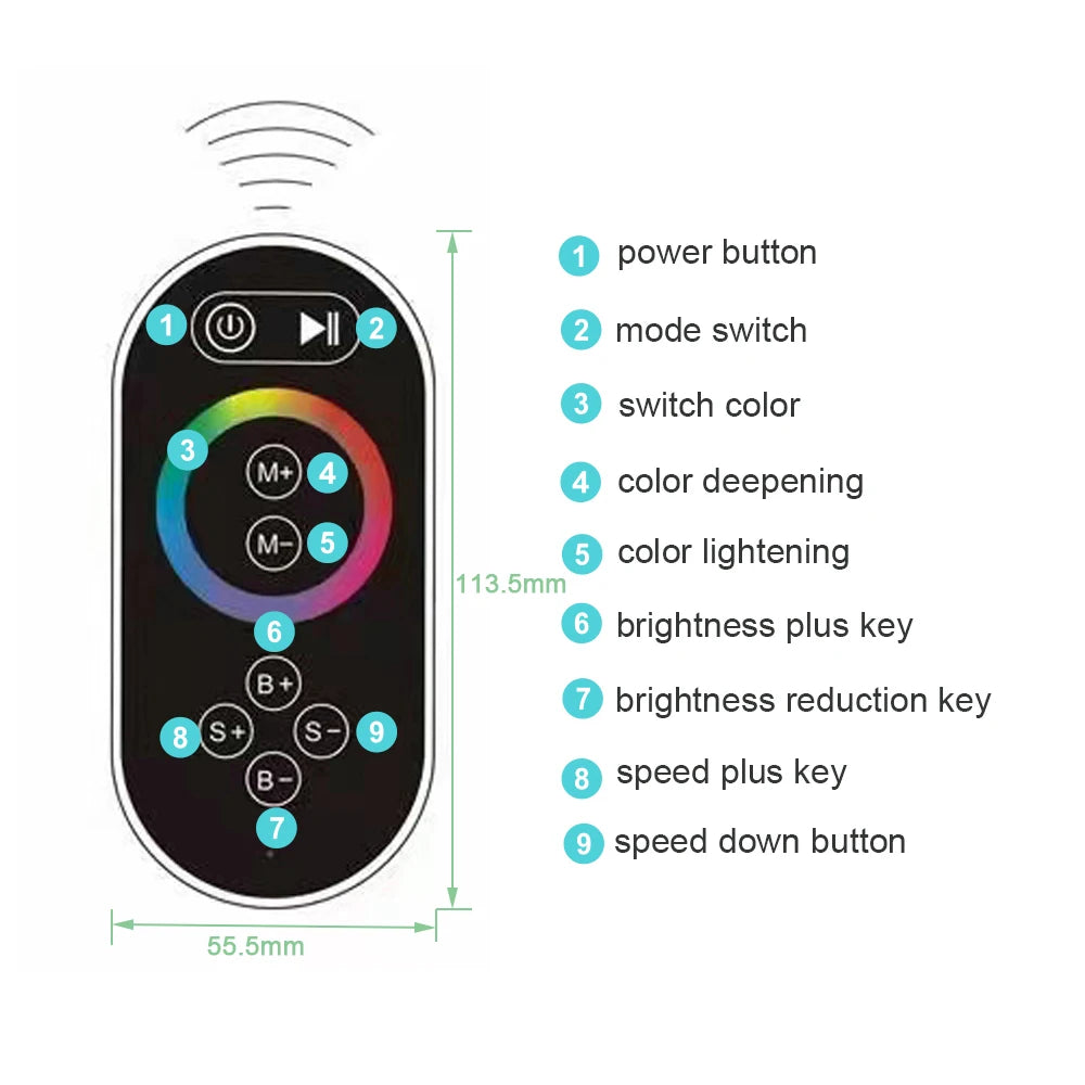 Black Ceiling Intelligent Remote Control LED Shower Head
