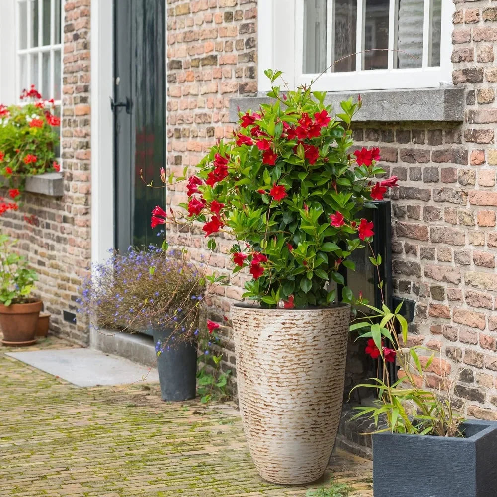 Decorative Stone Finish Flower Pots for Garden Patio