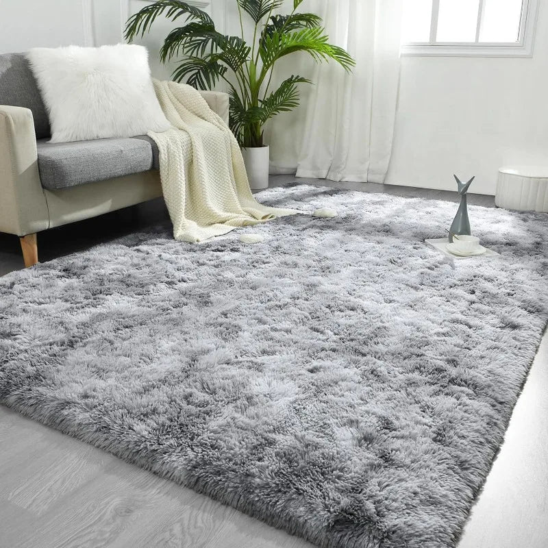 Large Modern Indoor Fuzzy Rugs